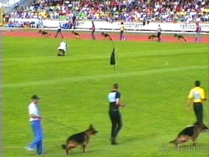 Альбом отзыва "Зигер в Ульме"