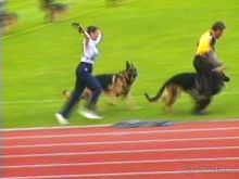 Альбом отзыва "Зигер в Ульме"