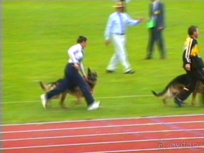 Альбом отзыва "Зигер в Ульме"