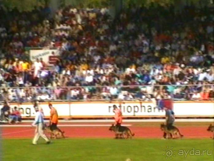 Зигер в Ульме