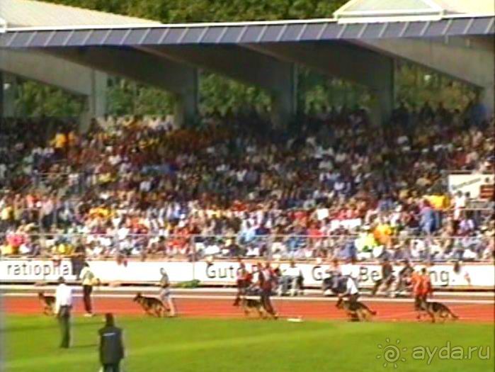 Зигер в Ульме