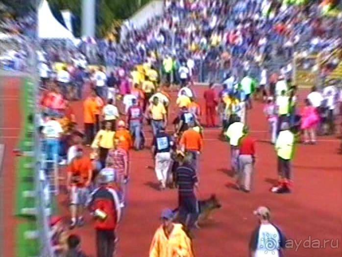 Зигер в Ульме