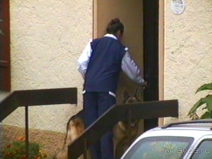 Зигер в Ульме