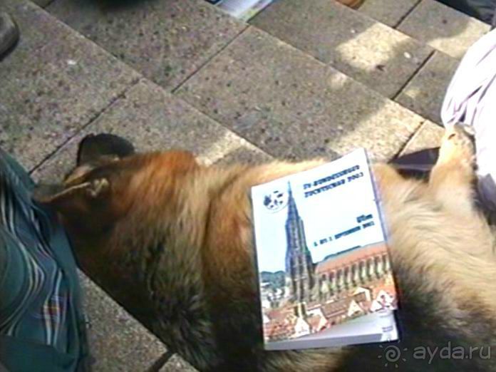 Зигер в Ульме