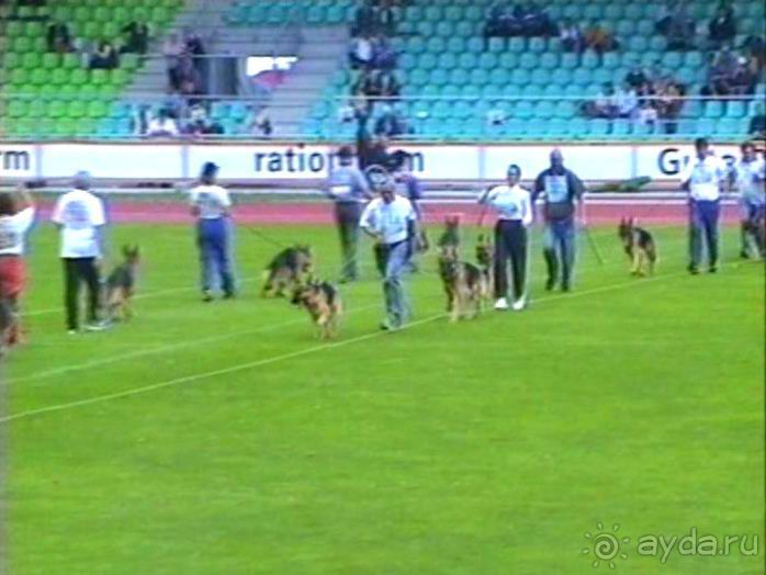 Зигер в Ульме