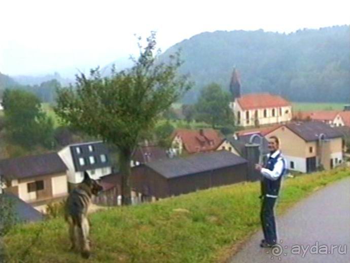 Зигер в Ульме