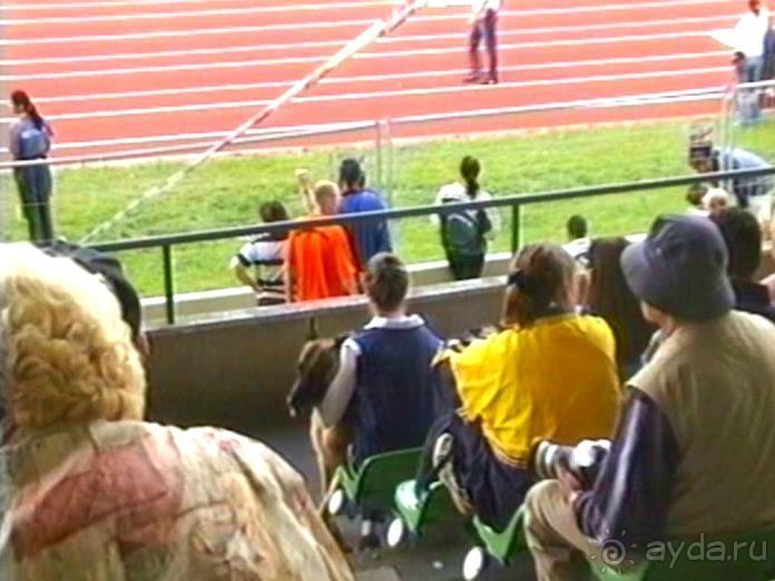 Зигер в Ульме