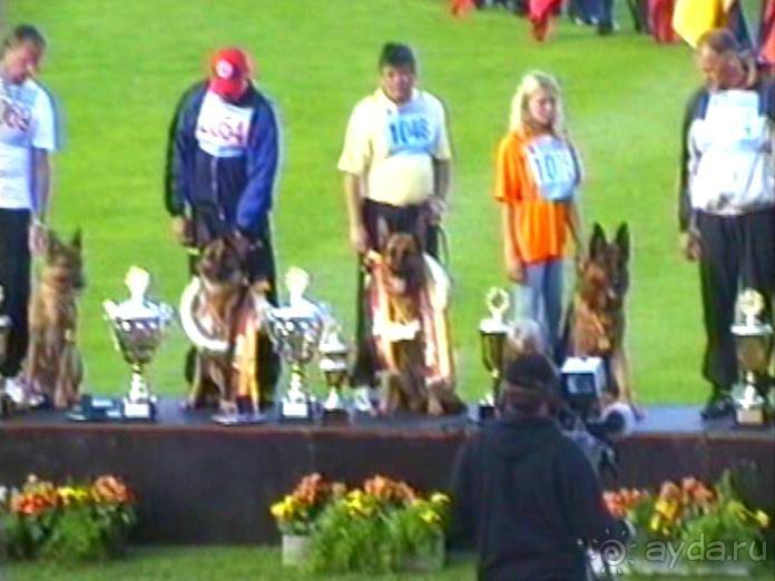 Зигер в Ульме