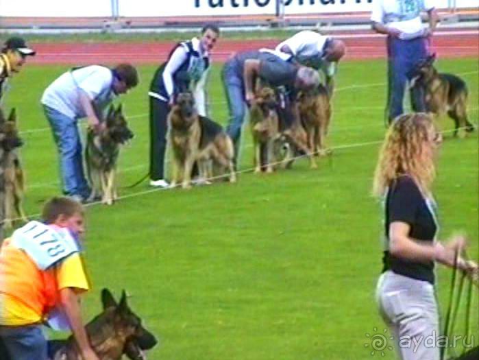 Зигер в Ульме