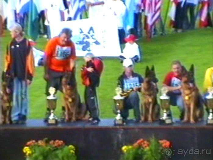 Зигер в Ульме