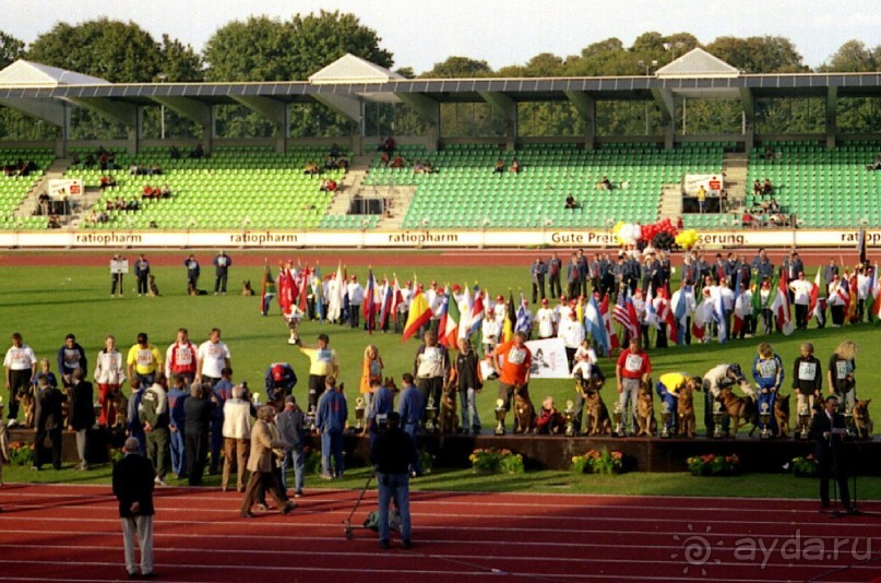 Зигер в Ульме