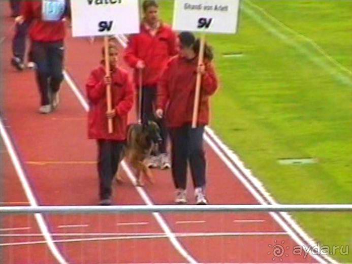 Зигер в Ульме