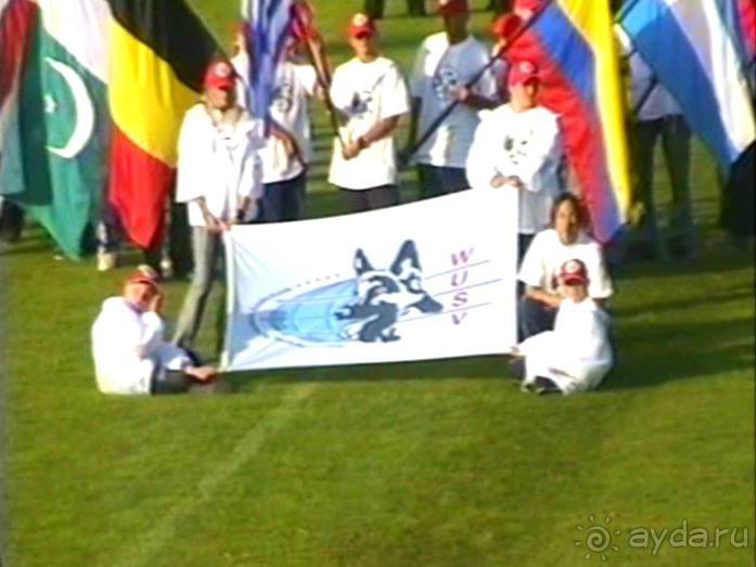 Зигер в Ульме