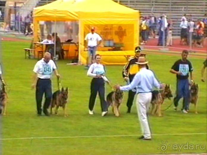 Зигер в Ульме