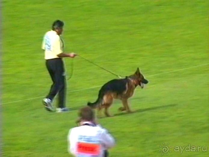 Зигер в Ульме