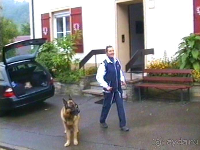 Зигер в Ульме