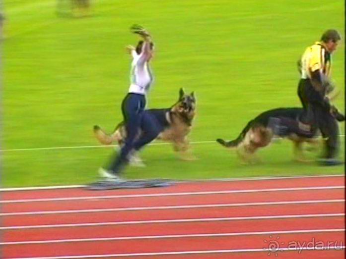 Зигер в Ульме