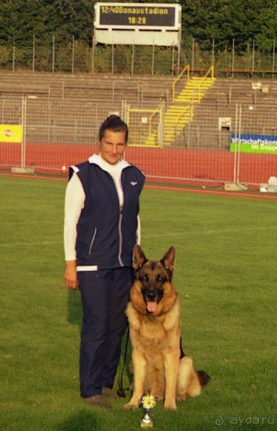 Зигер в Ульме