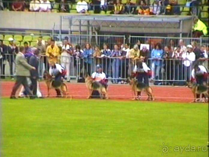 Зигер в Ульме