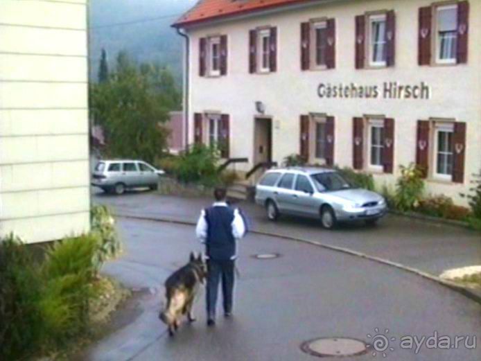 Зигер в Ульме