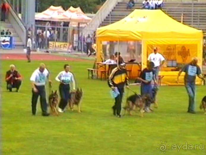 Зигер в Ульме