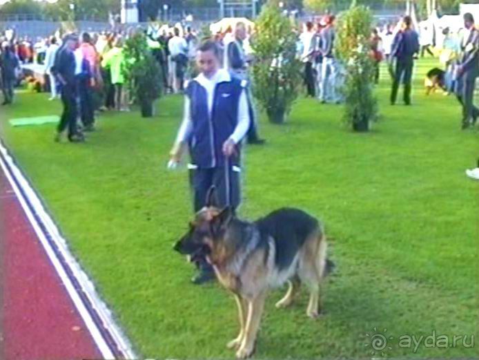 Зигер в Ульме