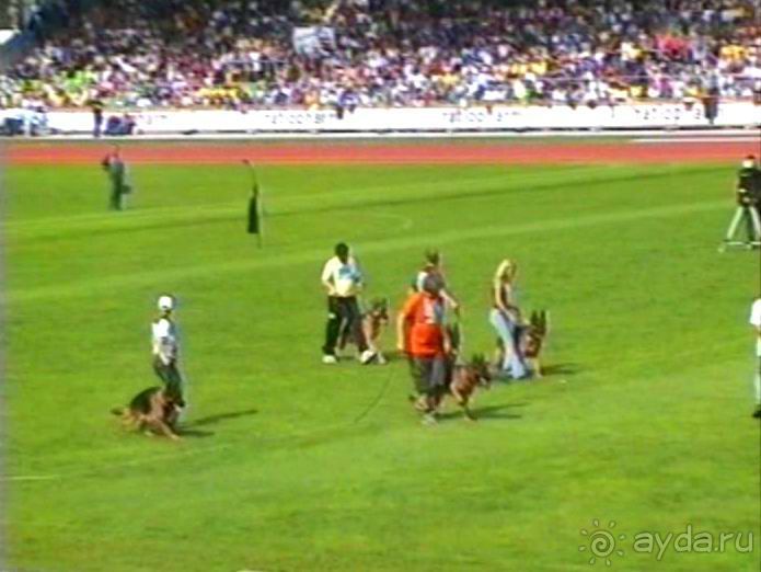 Зигер в Ульме