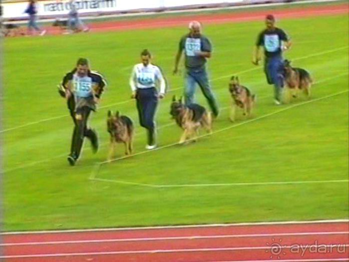 Зигер в Ульме