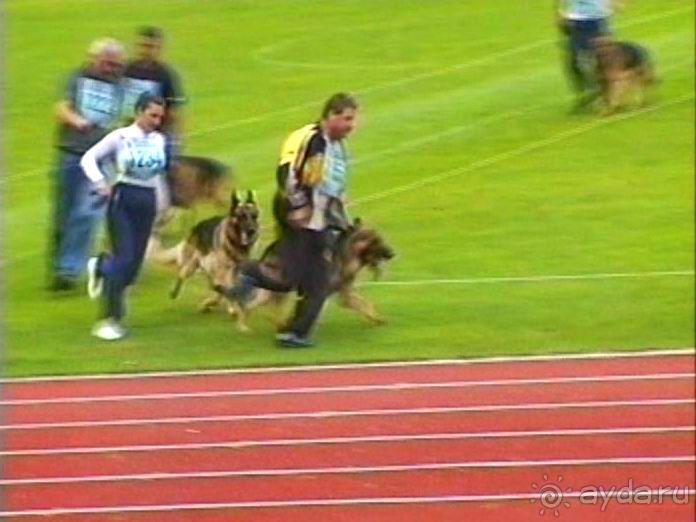 Зигер в Ульме