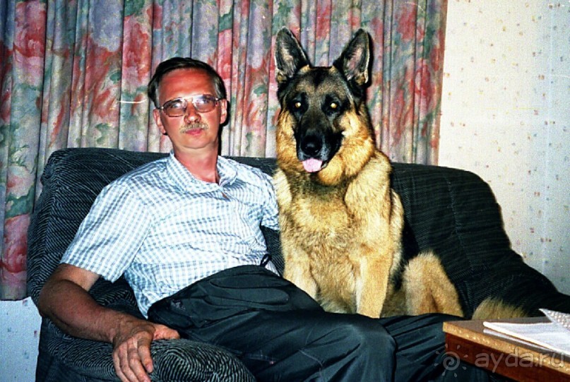 Зигер в Ульме