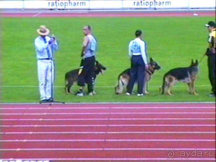 Зигер в Ульме