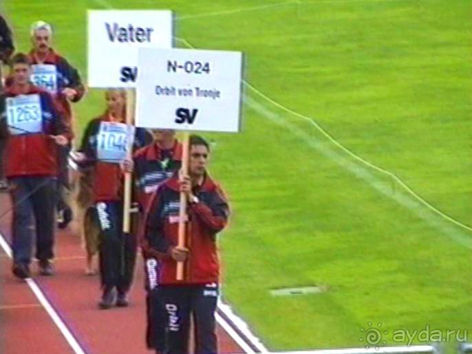 Зигер в Ульме