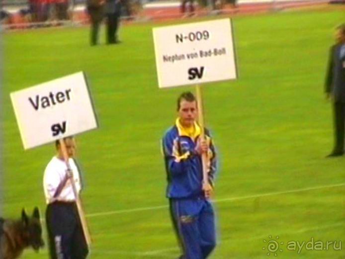 Зигер в Ульме