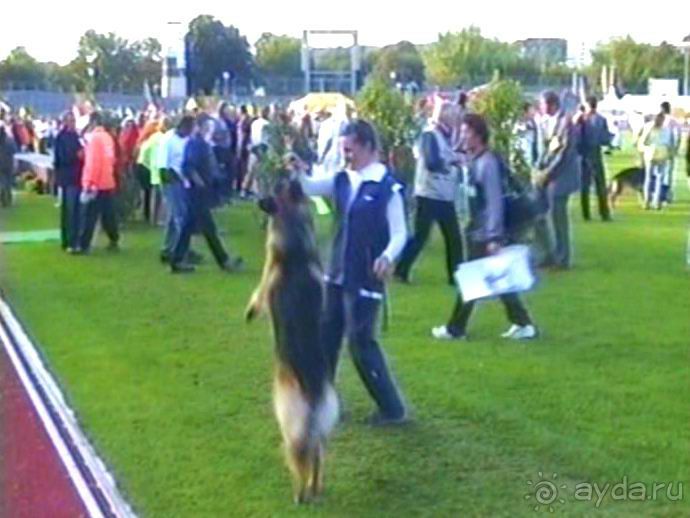 Зигер в Ульме