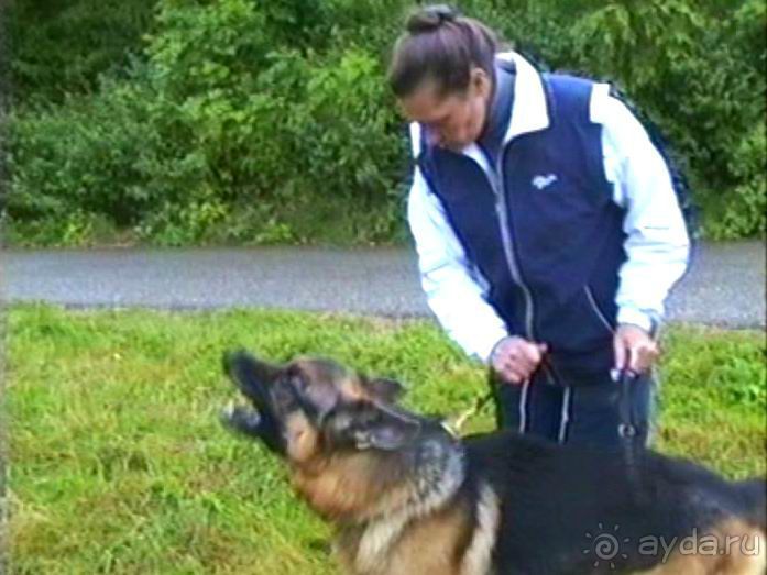 Зигер в Ульме