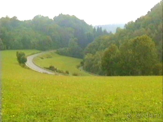 Зигер в Ульме