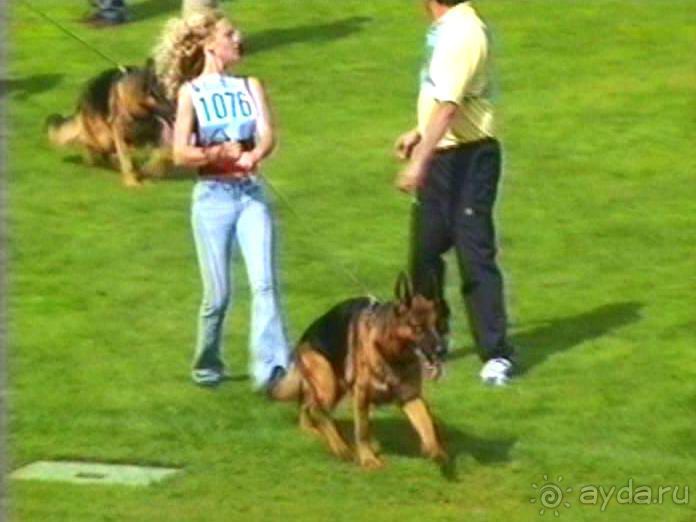 Зигер в Ульме