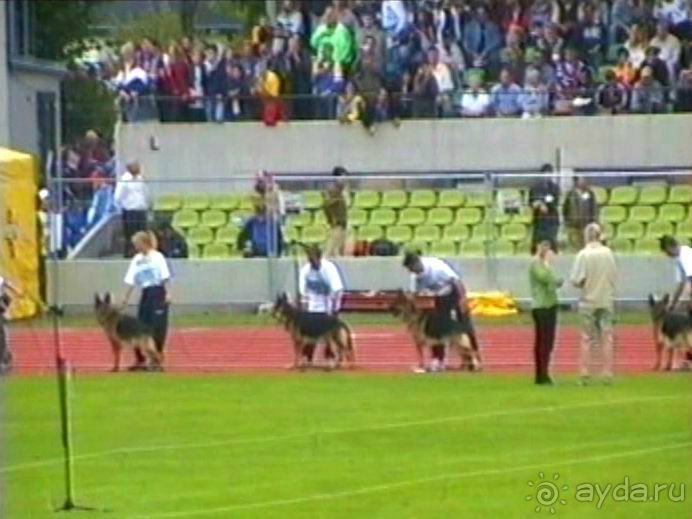 Зигер в Ульме