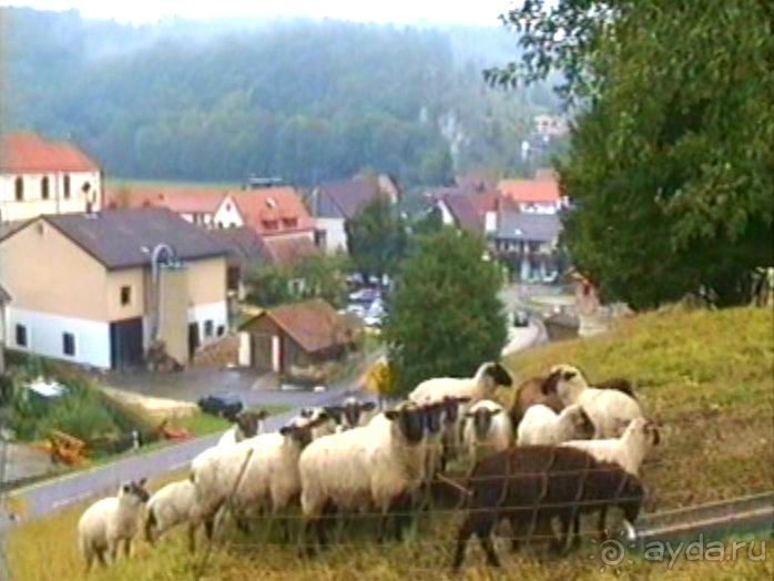 Зигер в Ульме