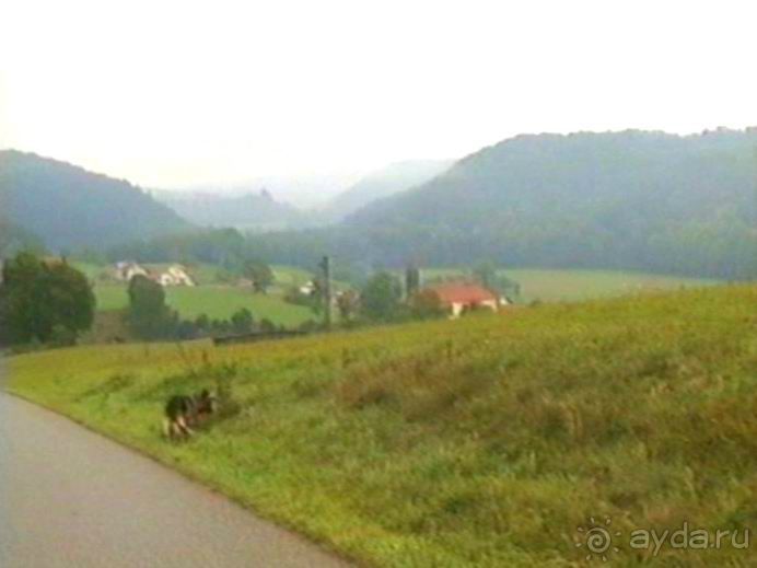 Зигер в Ульме