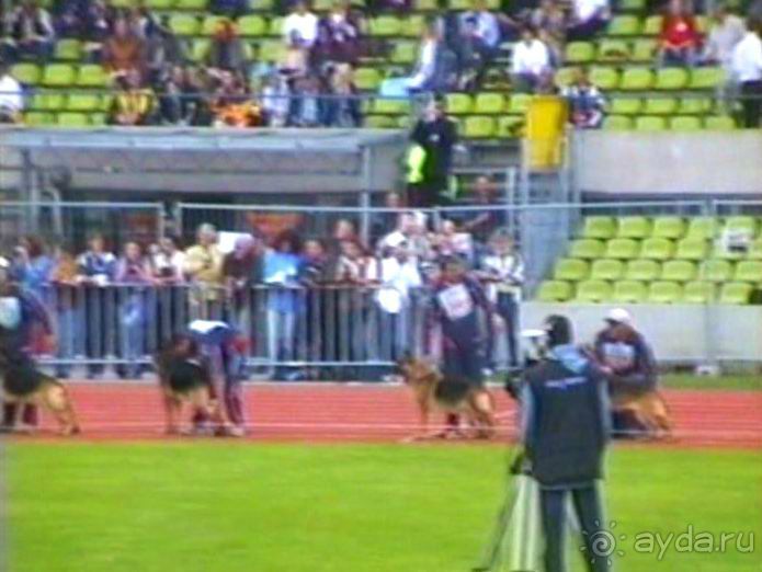 Зигер в Ульме