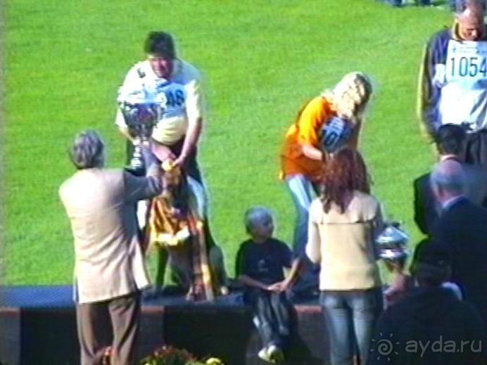 Зигер в Ульме