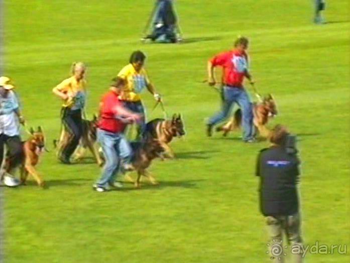 Зигер в Ульме