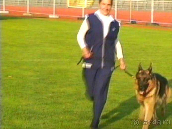 Зигер в Ульме