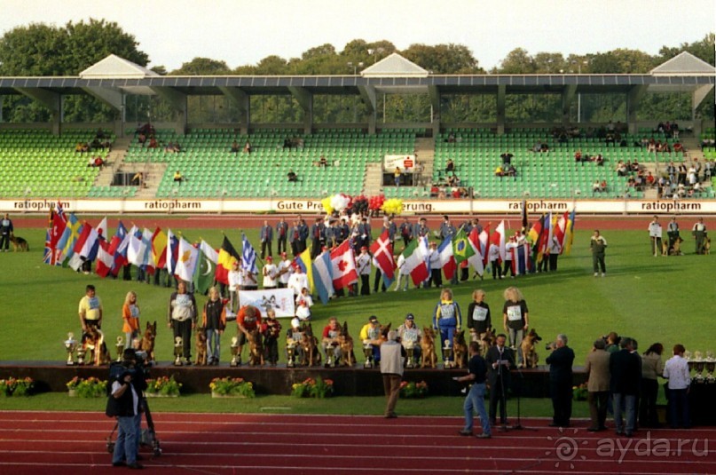 Зигер в Ульме