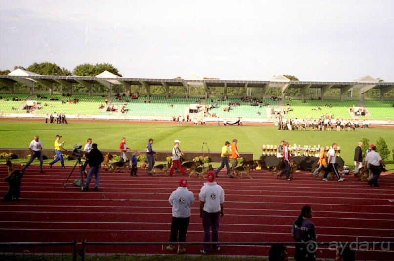 Зигер в Ульме