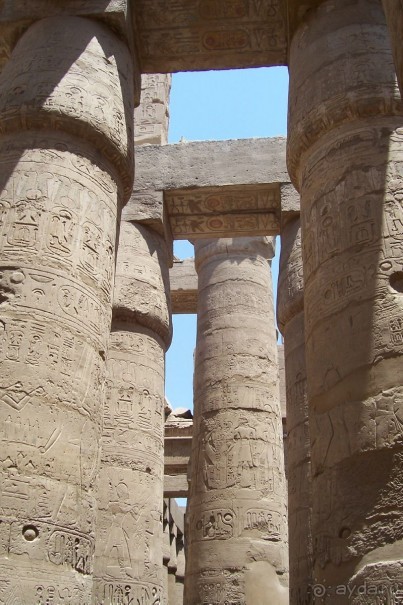 Альбом отзыва "Египет часть 3: Луксор и восточный берег Нила"