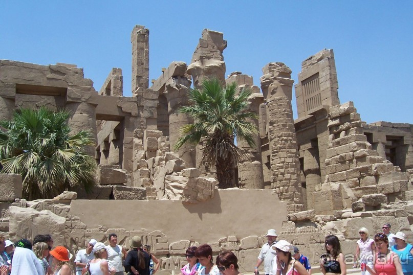 Альбом отзыва "Египет часть 3: Луксор и восточный берег Нила"