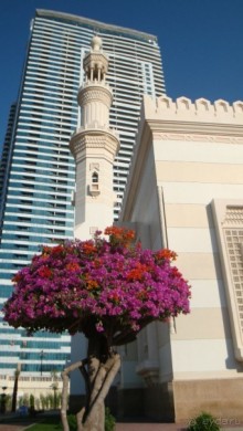 Эмираты в декабре: часть 2 - Мечети и церкви Шарджи