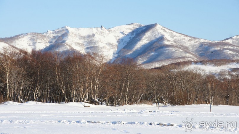 Переименовать "Войковскую" в "Завойковскую"!